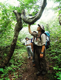The Shin-etsu Trail 