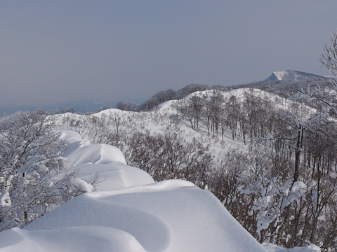 冬の関田山脈
