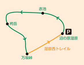 沼の原湿原～赤池～袴岳～万坂峠～沼の原湿原