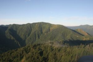 佐武流山