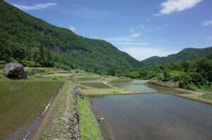 結東の石垣田