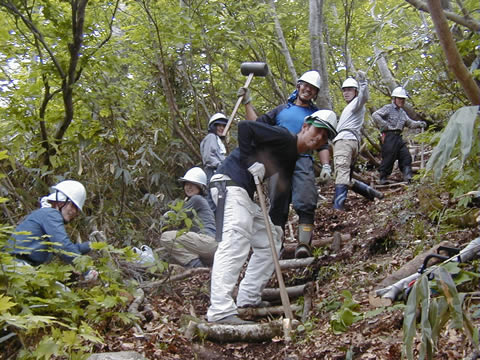 Fallen trees are used to make stairs